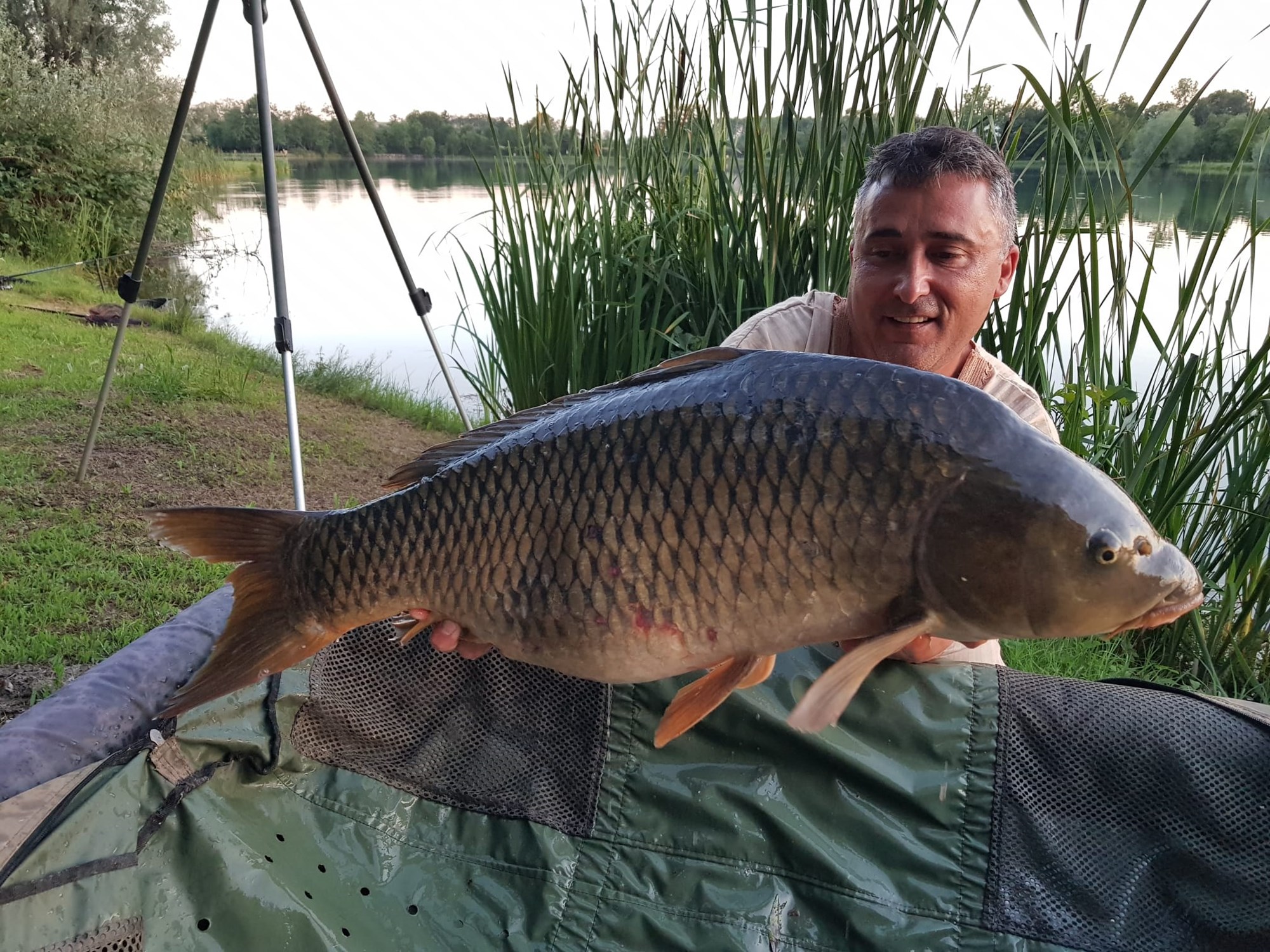 ISOLA DEL PESCATORE 23 - 24 iunie 2020 - IMG20200623WA0059.jpg